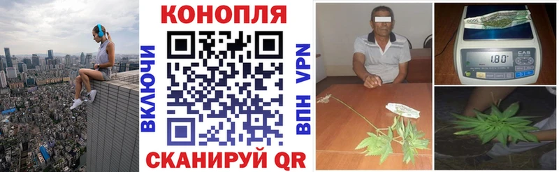 ОМГ ОМГ как войти  Багратионовск  Бошки марихуана марихуана 